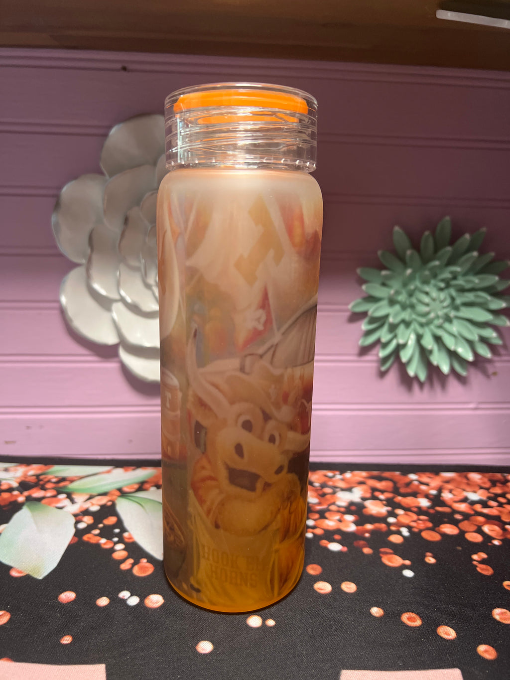 Texas frosted glass cup 17 oz